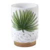 Top 10 ๐งจ Avanti Linens Viva Palm Tumbler - Green ๐ 1 Top 10 ๐งจ Avanti Linens Viva Palm Tumbler - Green ๐ -Avanti Linens Shop Viva Palm Tumbler